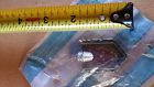 20218169 Gm Nos Monte Carlo Side Emblem Rare Not Many Left