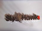 25512314 79 80 81 82 83 84 85 86 87 Buick Skyhawk Emblem Badge New Pt
