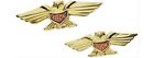 5152 Kuryakyn Condor Emblem