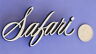 9655389 Pontiac Safari Script Oem Rear Badge Chrome Tailgate