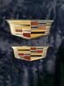 23182045-84814035 Cadillac Escalade Emblems