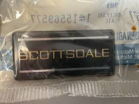 15569577 General Motors 1988-1998 Chevrolet Scottsdale Side Emblem Logo Badge Symbol Oem S19