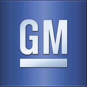 10156895 Gm Genuine Nameplate