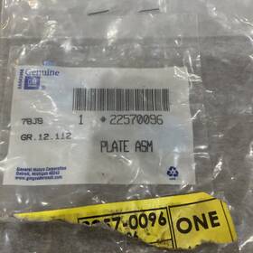 22570096 Gm Emblem Part Factory Oem 1992-1995 Pontiac Grand Am Side Door