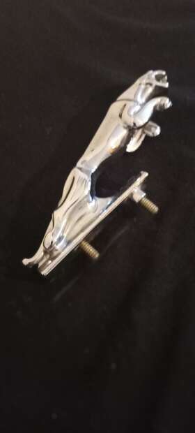 7242553wbb Jaguar Small Hood Emblem