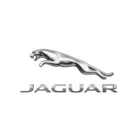 C2p8584 Jaguar Genuine Fender Insert Emblem