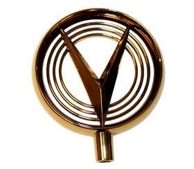 Ho55r Nors 1955 Buick Roadmaster Hood Emblem Gold Ornament