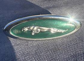 5771aa Oem 1997-2002 Jaguar Xk8 Left Driver Fender Emblem Green Badge