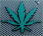 P-runda Premium 3d Marijuana Weed