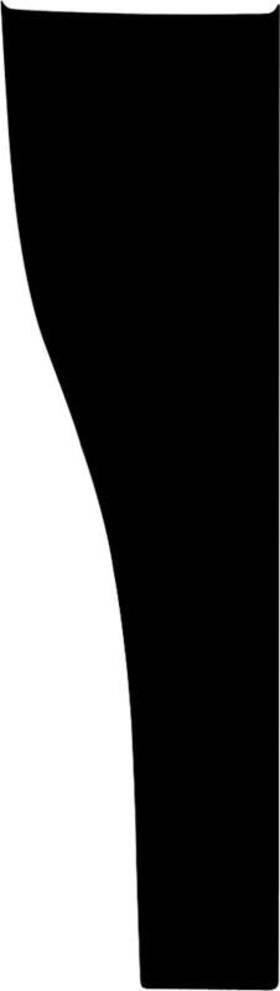 14047936 Phoenix Graphix 1982-83 Camaro Z28 Hood Scoop Insert Decal Rh
