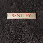 Ub43761 Bentley 1989-97 Rear Chrome
