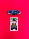 Ford Blue Tailgate Oval Emblem Badge Logo Nameplate Oem. Fixed Price $12.99.
