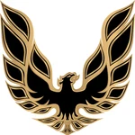 Firebird Trans Vintage American Muscle Vinyl Sticker Decal Side Panel Hood. Fixed Price $99.99.