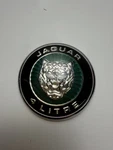 Oem 1997-2002 Jaguar XK8 X100 Hood Bonnet Emblem Badge Logo HJA5903AA. Fixed Price $89.99.