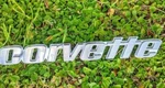 Read Oem Nos 1976-1979 Chevy Corvette Gm# 458325 Rear Bumper Emblem. Fixed Price $49.99.