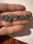 Original Gm Oem Buick Skyhawk Dash Door Emblem Badge Chrome Color 2.5" 20370242. Fixed Price $11.03.