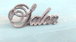 1975 - 1978 Plymouth Fury Salon Quarter Panel Script Emblem 3811451 Used. Fixed Price $14.99.