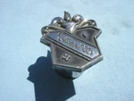 Buick Electra 225 Emblem Badge Script Chrome Trim 7681951 Vintage Medallion. Fixed Price $14.75.