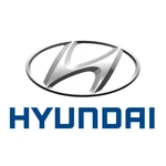 Genuine Hyundai Emblem Ultimate Awd 86346-4Z000. Fixed Price $29.94.