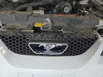 Used Front Grille Fits: 2003 Ford Mustang Base V6 Grade. Fixed Price $155.90.