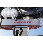 Radiator Cover Plate W/red Carbon Fiber 'coyote' Inlay 15-16 Ford Mustang Gt. Fixed Price $94.80.