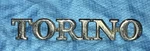 1972 Ford Torino Script Name Plate D2OB-16098-DA W16. Fixed Price $13.00.
