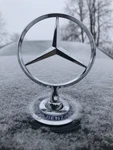 Front Hood Emblem Star Mercedes S350 S450 S500 S560 S550 S600 S63 Amg. Fixed Price $27.83.