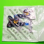 Oem Pair Angry Bees Challenger Charger Scat Pack Level 1 Emblems New 68249683AB. Fixed Price $49.00.