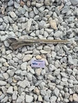 1948 1951 Dodge B-series Truck Ram Hood Ornament Oem Mopar 1097255 16.25. Fixed Price $99.99.