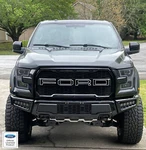 15-2020 Ford F-150 Paramount Aftermarket Grille Letter Outline Vinyl Decals F150. Fixed Price $29.99.
