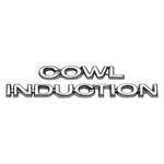 Oer "cowl Induction" Hood Emblem Kit. Fixed Price $73.88.