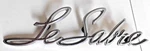 1968 Buick Lesabre Script Emblem. # 7740372.. Fixed Price $24.99.