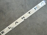 New Oem Hyundai Elantra "night" Edition Rear Trunk Emblem. Fixed Price $124.95.