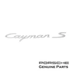 Genuine "cayman S" (2007-2008) Rear Badge Emblem Satin Silver Look Decklid. Fixed Price $159.95.