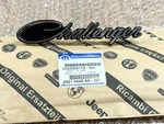 2008-2014 Dodge Challenger Chrome Black Script Grille Emblem Nameplate Mopar Oem. Fixed Price $67.40.