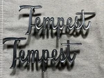 Oem 1966 Pontiac Tempest Script Fender Emblem 7586905 -pair. Fixed Price $22.00.