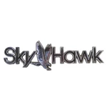 1982-1989 Buick Skyhawk Plastic Chrome Emblem Oem. Fixed Price $15.00.
