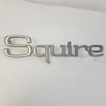 1970-71 Ford Country "squire Station Wagon D1AP 71291R62 Fender Emblem Script. Fixed Price $14.99.