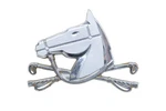 Oem Ford C5AB-16C234-A Country Squire Fender Emblem. Fixed Price $39.99.