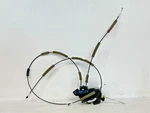 18-24 Lincoln Navigator Front Left Drivers Door Lock Latch Actuator Oem LOT2626. Fixed Price $119.99.