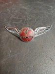 1933 1934 Vintage Pontiac 8 Grill Emblem Wings Coupe Sedan Roadster Gm. Fixed Price $225.00.