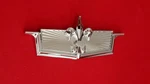New 1975-1976 Chevrolet Caprice Fender Emblem-badge Set Of 2. Fixed Price $69.00.