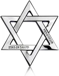 Noizzy Star Of David Car Emblem, 3D Metal Hexagram Auto Badge Sticker Chrome. Fixed Price $9.99.