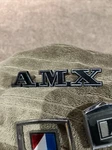 1979-1980 Amc Spirit Amx Emblem Nos Oem. Fixed Price $60.00.