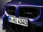 New Genuine Bmw G87 M2 Cs Front Grill With Badge 51137874201. Fixed Price $849.95.