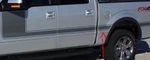 New Oem Ford Front Left 5.5' Pickup Bed Stripe Decal CL3Z-99290D13-AB F150 12-13. Fixed Price $30.25.