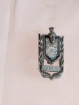 Vintage 1973-77 Chevrolet Chevy Monte Carlo Side Roof Emblem Name Plate 9657609. Fixed Price $20.00.