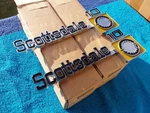 Nos Gm 1973-80 Chevy Truck Scottsdale 10 Pair Emblems Front Fender Ornaments New. Fixed Price $189.99.