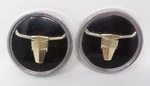2 Buick Texan Texas Longhorn 5715544 Emblem. Fixed Price $49.99.