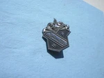 Buick Electra 225 Emblem Badge Script Chrome Trim 7681951 Vintage Medallion. Fixed Price $12.75.